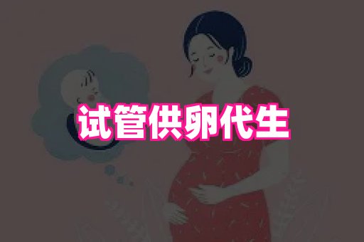 试管助孕网站 1