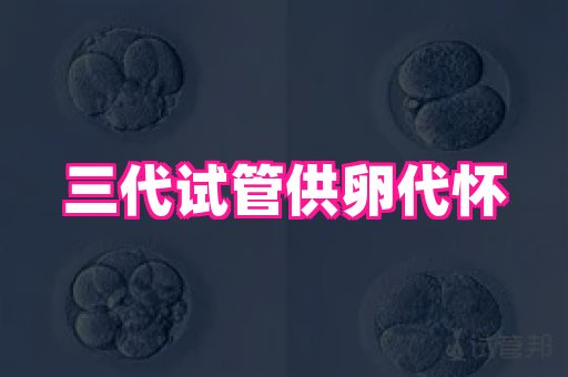 试管助孕网站 3